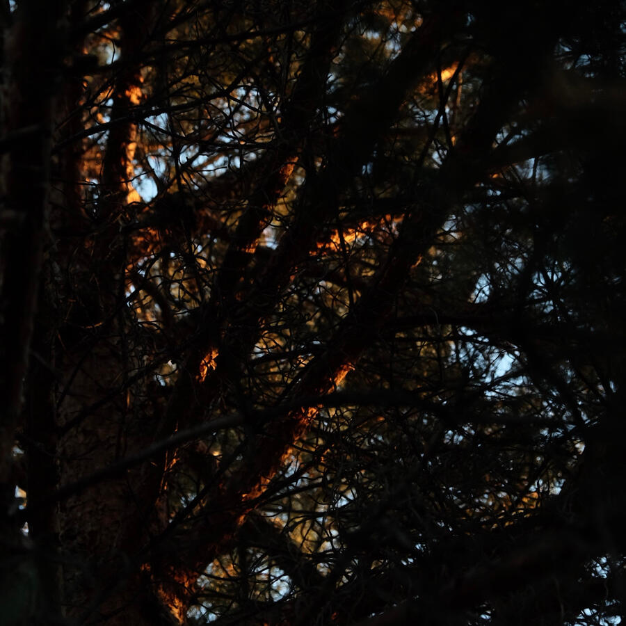 Playing with Shadows