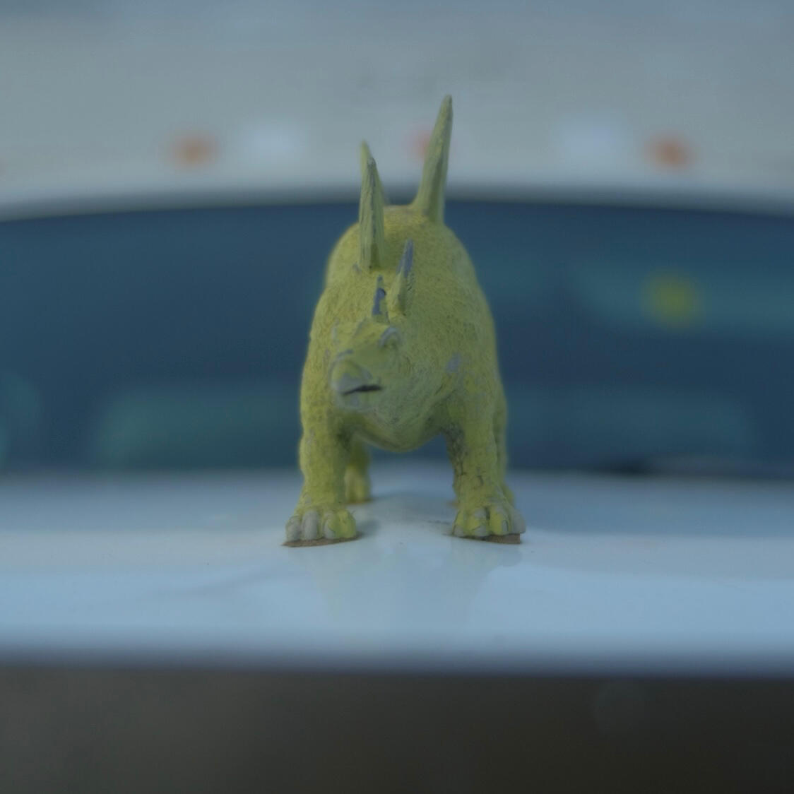 Rawr